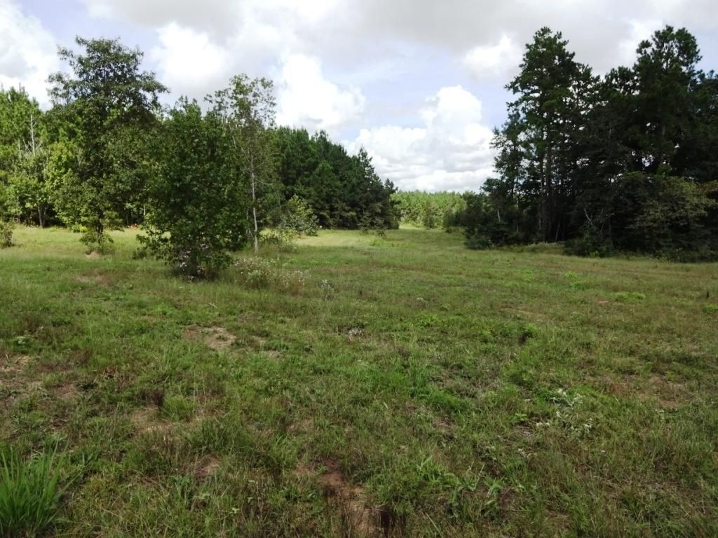 180 Acres, Felix Currie Road, Oakhurst, TX 77359 Land and Farm