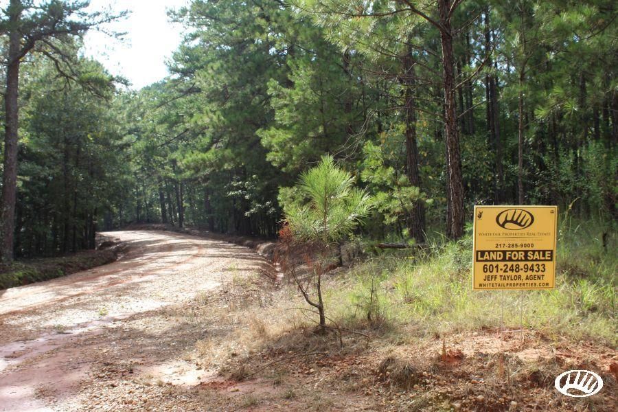 107 Acres, County Road 5320, LotWP01, Ethel, MS 39067 Land and Farm