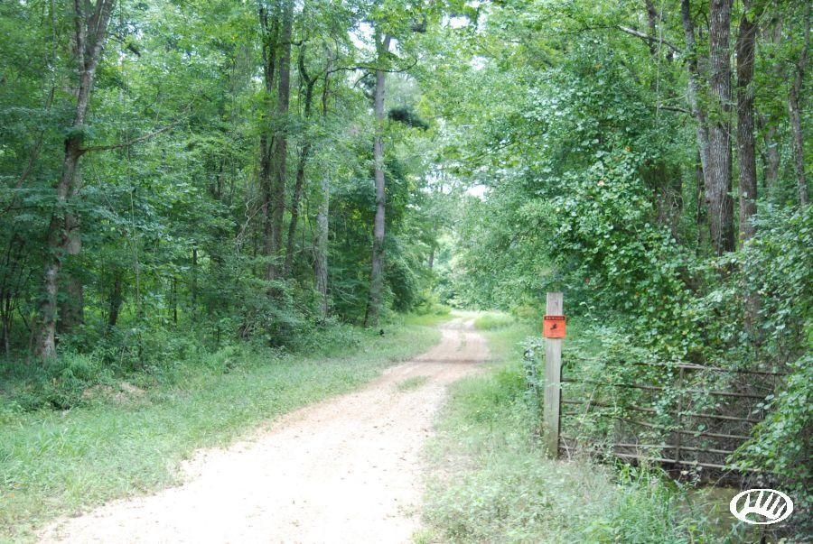 Tyson Road, LotWP01, Hazlehurst, MS 39083 Land and Farm