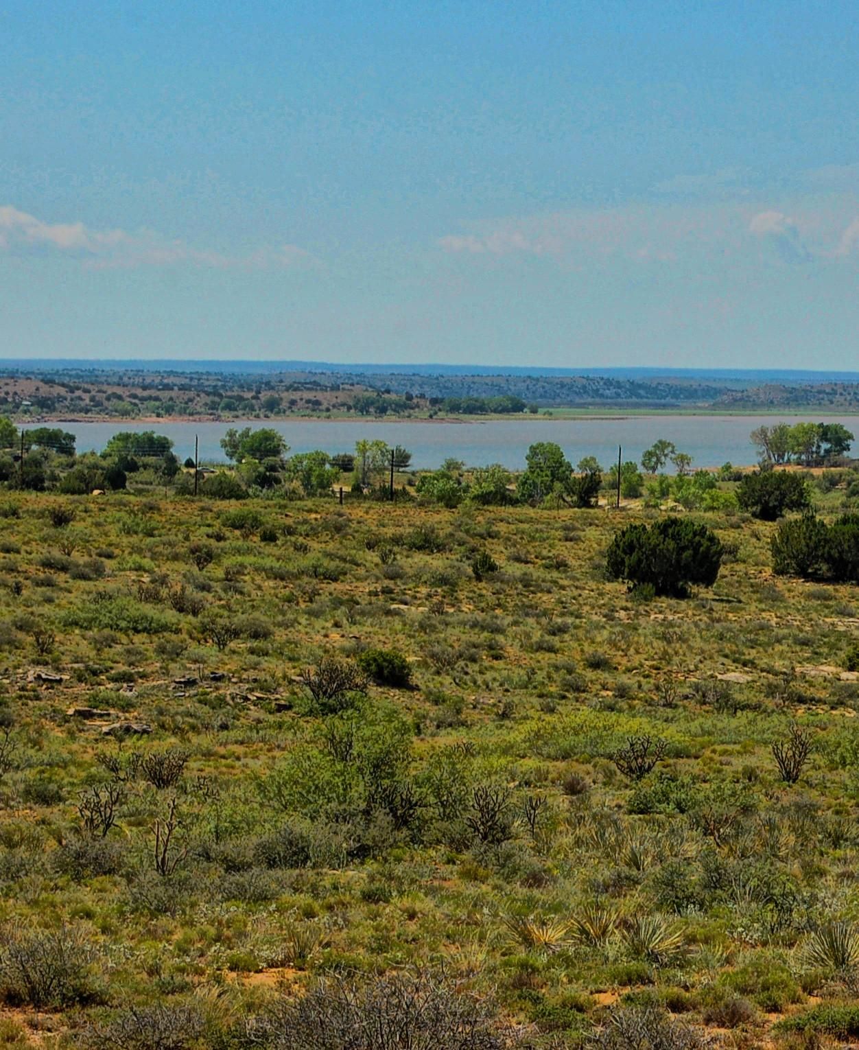 1,700 acres in Fort Sumner, NM, 88119 Land and Farm