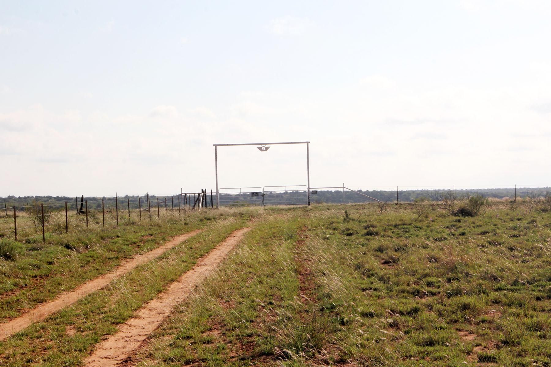 395 Acres, Cee Vee, TX 79223 Land and Farm