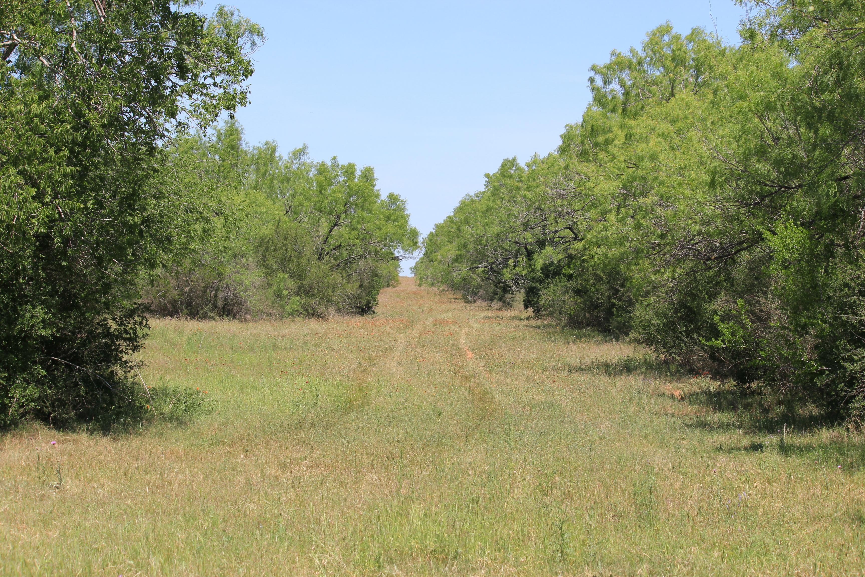 1,330 Acres, Pearsall, TX 78061 Land and Farm
