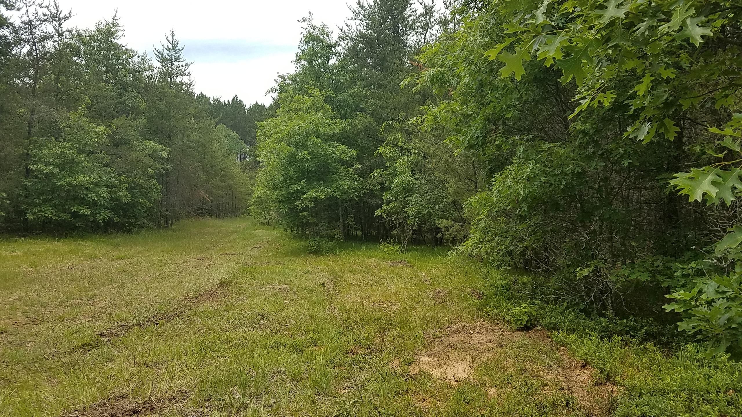 Parkway Road, Athelstane, WI 54104 Land and Farm