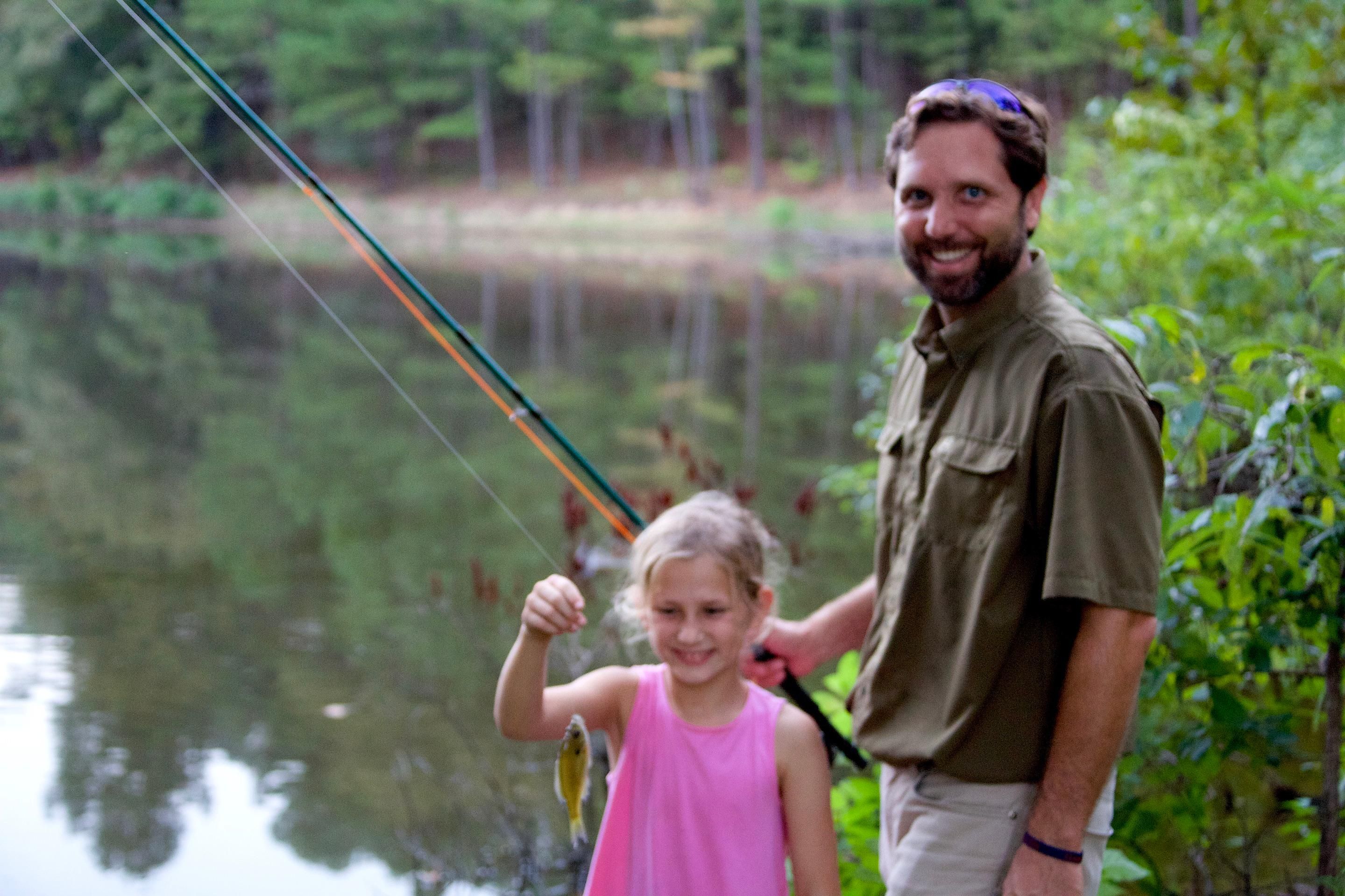 380 Acres, 411 County Road 313, Taylor, MS 38673 Land and Farm