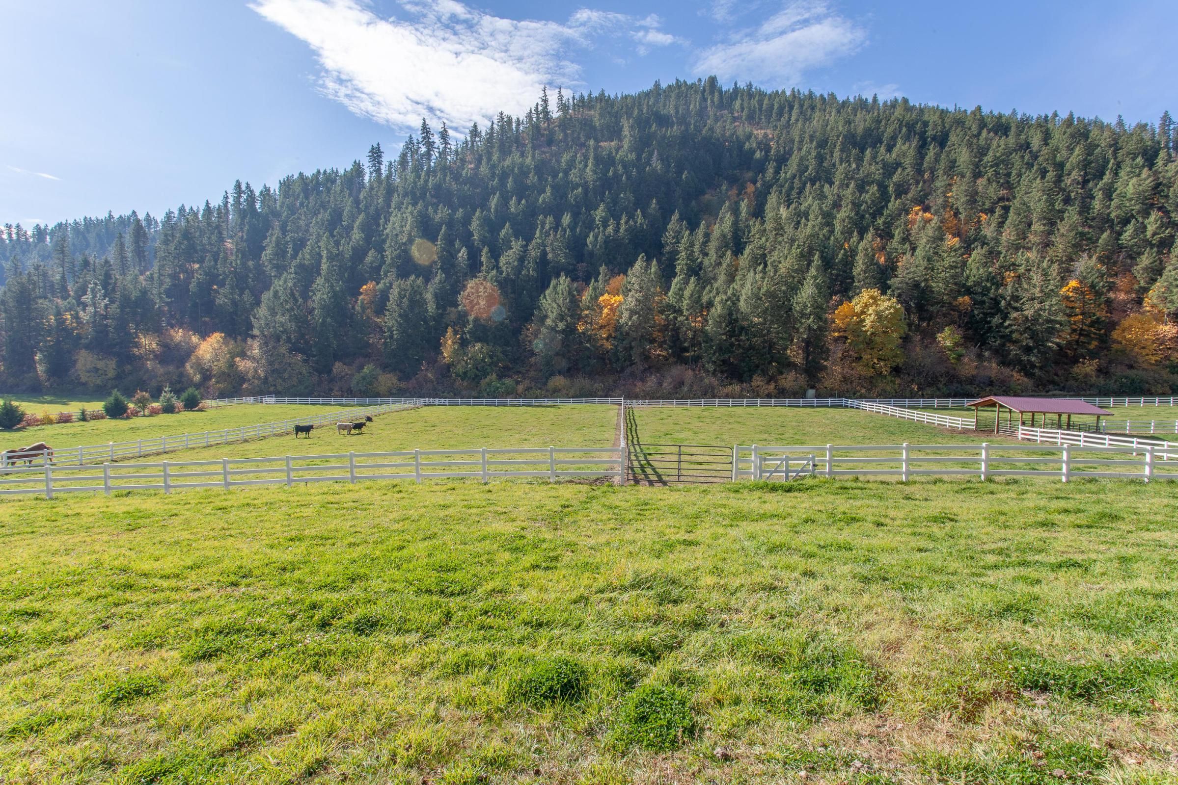 20 Acres, NNA Willems Rd C, Cashmere, WA 98815 Land and Farm