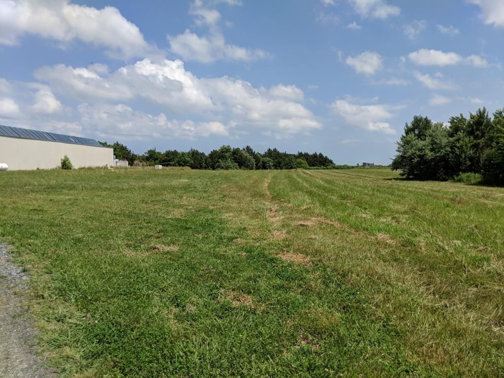 35 Acres, 34251 Bradfords Neck Road, Quinby, VA 23423 Land and Farm