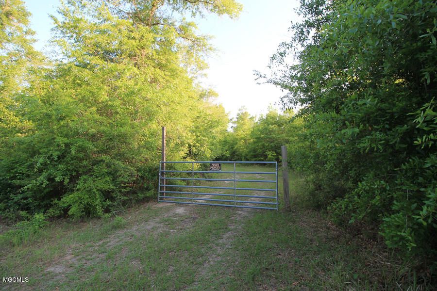 40 Acres, 40 Acres Jernigan Rd, Leakesville, MS 39451 Land and Farm