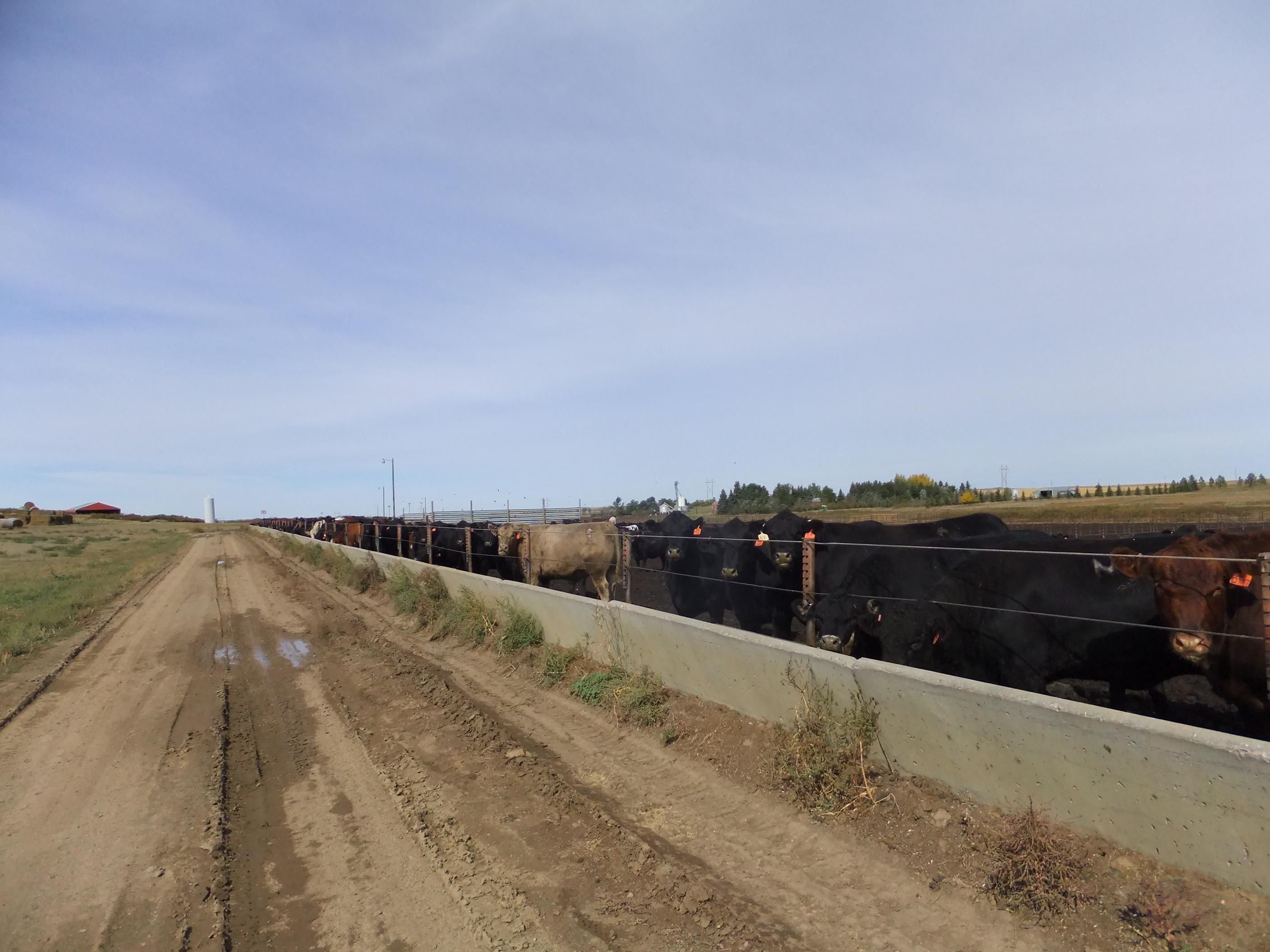 637 acres in Hettinger, ND, 58639 MLS Lesh101518 Land and Farm