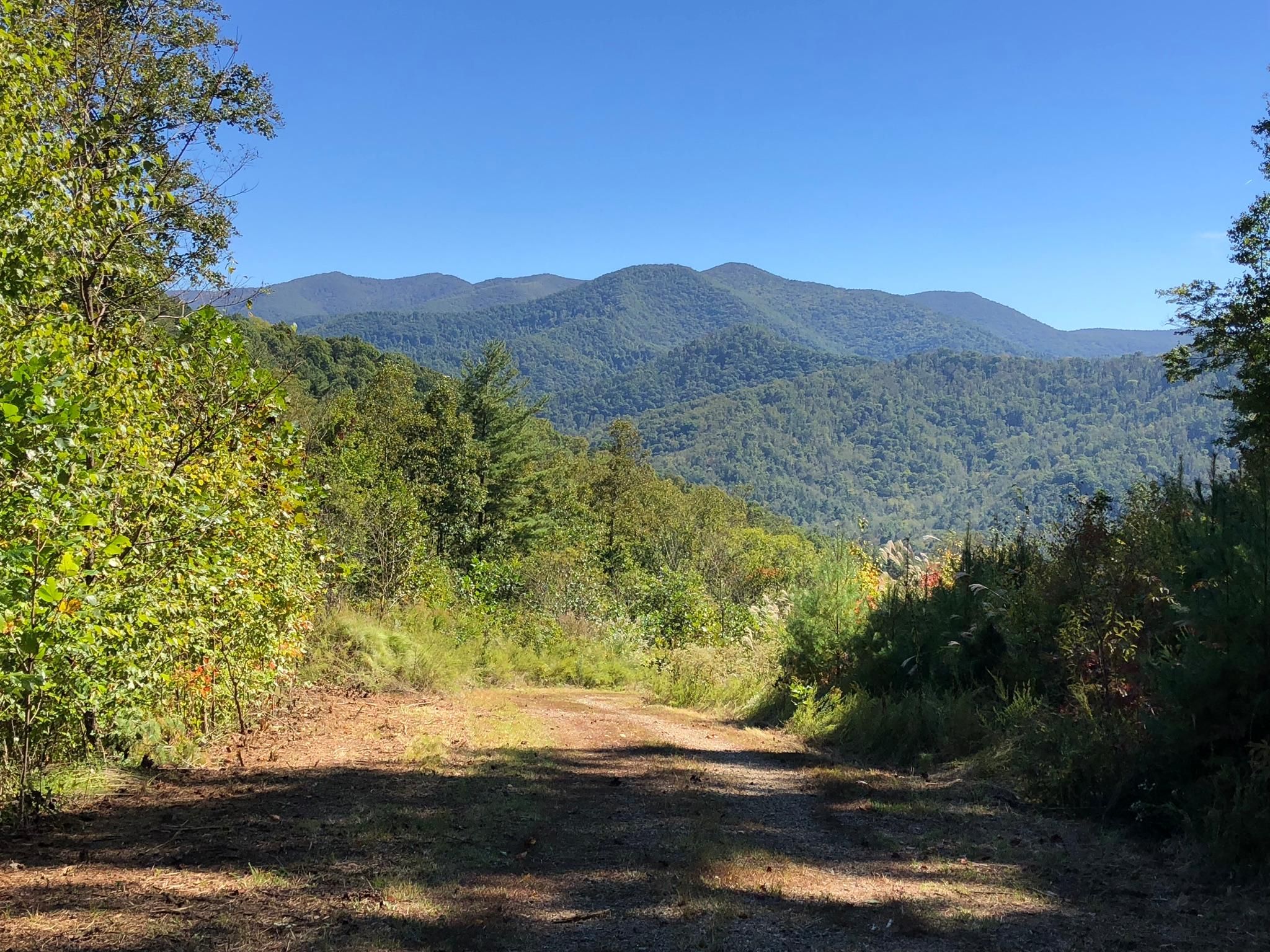 37 Acres, 9999 Hawks Landing, Weaverville, NC 28787 Land and Farm