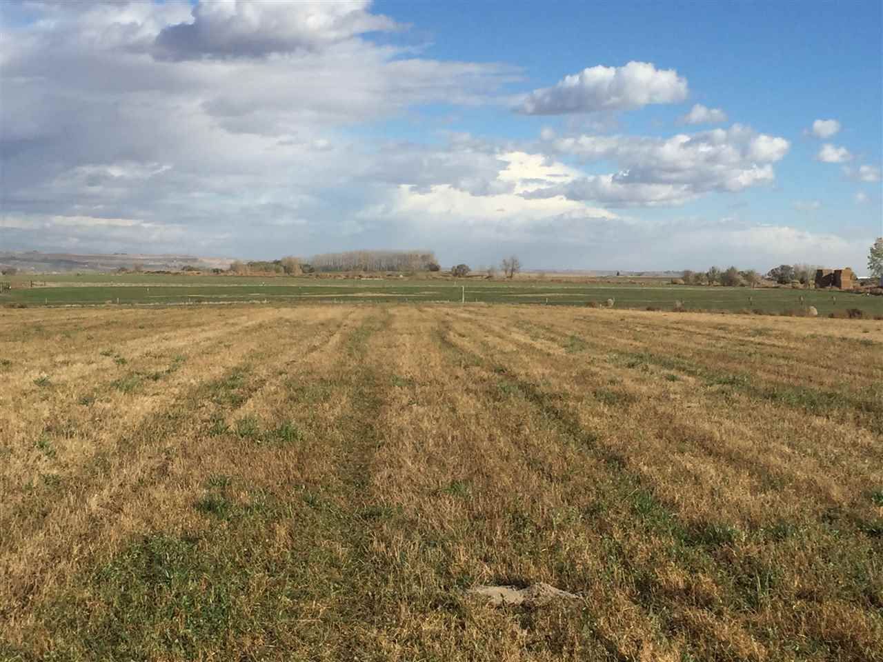 15.9 Acres, TBA Pioneer Rd, Homedale, ID 83628 Land and Farm