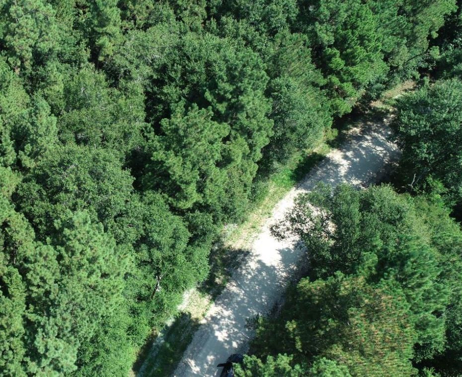 1.35 acres in Shepherd, TX, 77371 MLS 79562 Land and Farm