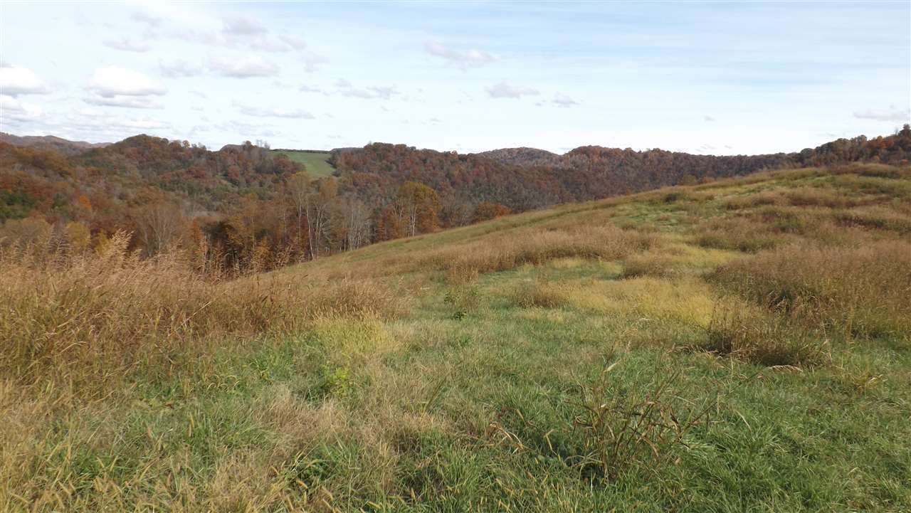 LITTLE CANEY VALLEY RD, Tazewell, TN 378793819 MLS 581018 Land