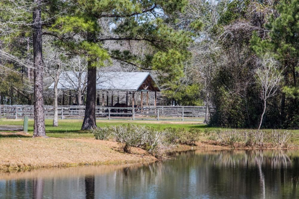 55 Acres, 211 Sea Horse Lane, Huger, SC 29450 Land and Farm