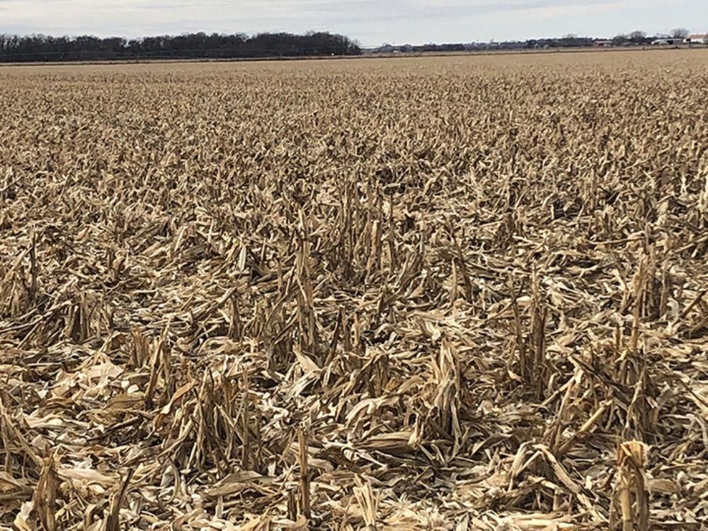 160 Acres, Elm Creek, NE 68836 Land and Farm