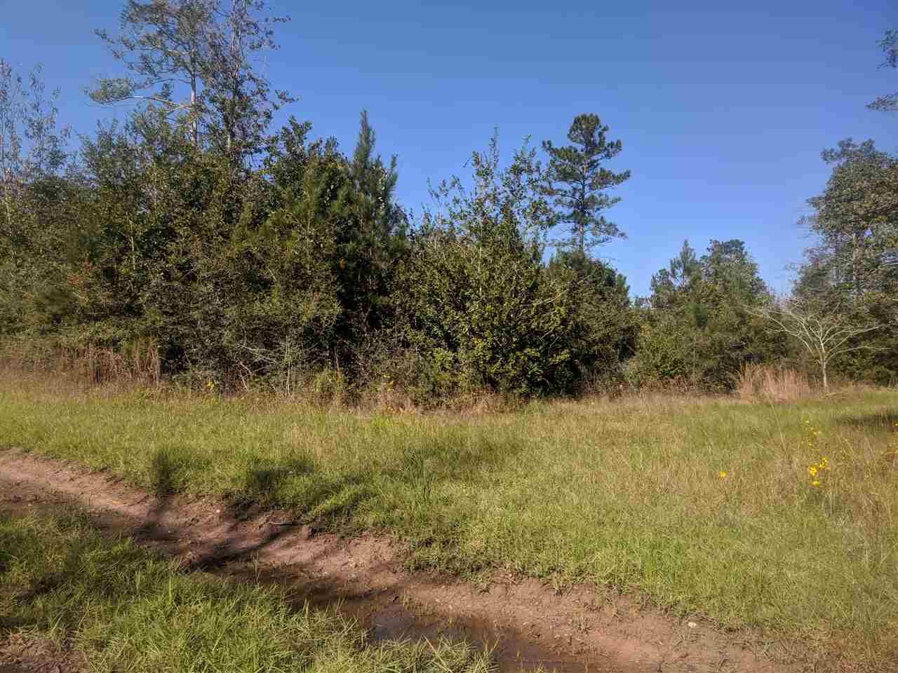 10 Acres, 000 Any Old Street, Buna, TX 77612 Land and Farm