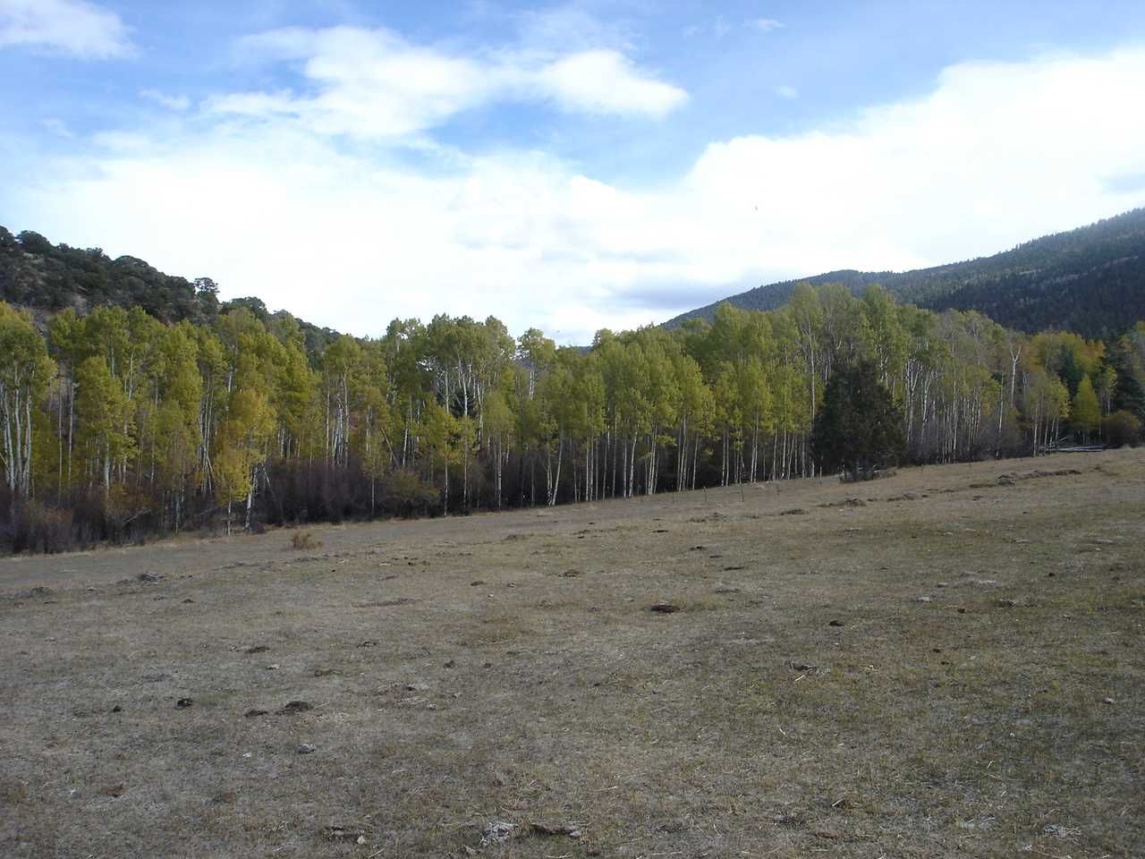 37.81 Acres, 117 Arellano Rd, Amalia, NM 87512 Land and Farm