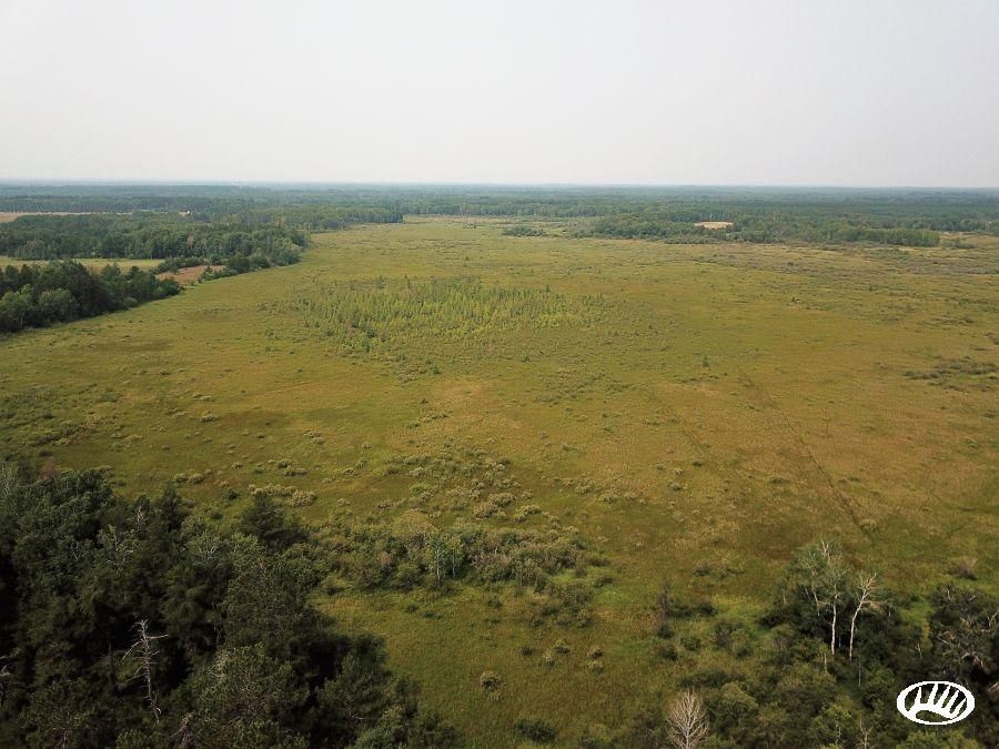 80 Acres, 34985 229th Ave., Menahga, MN 56464 Land and Farm