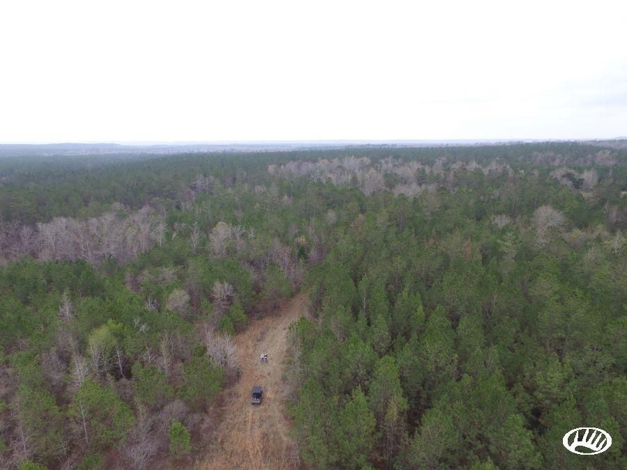 40 Acres, Sun Road And County 49, Lower Peach Tree, AL 36751 Land and