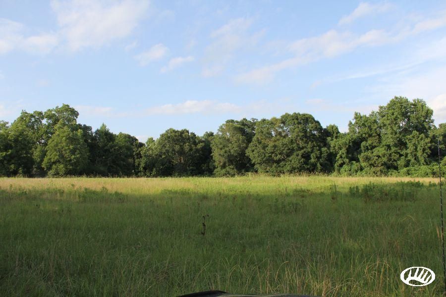 29 Acres, Sarepta Road, LotWP01, Meadville, MS 39653 Land and Farm