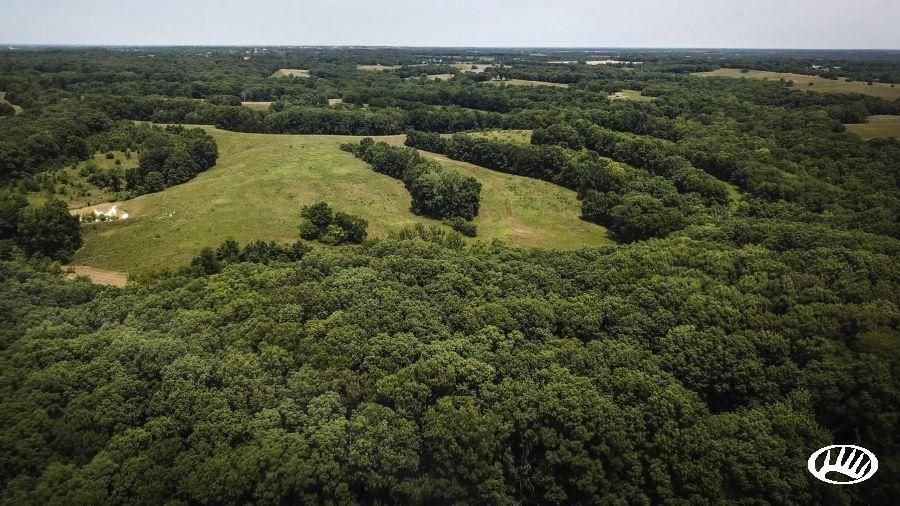 60 Acres, State Highway 5, Lot WP001, Armstrong, MO 65230 Land and Farm