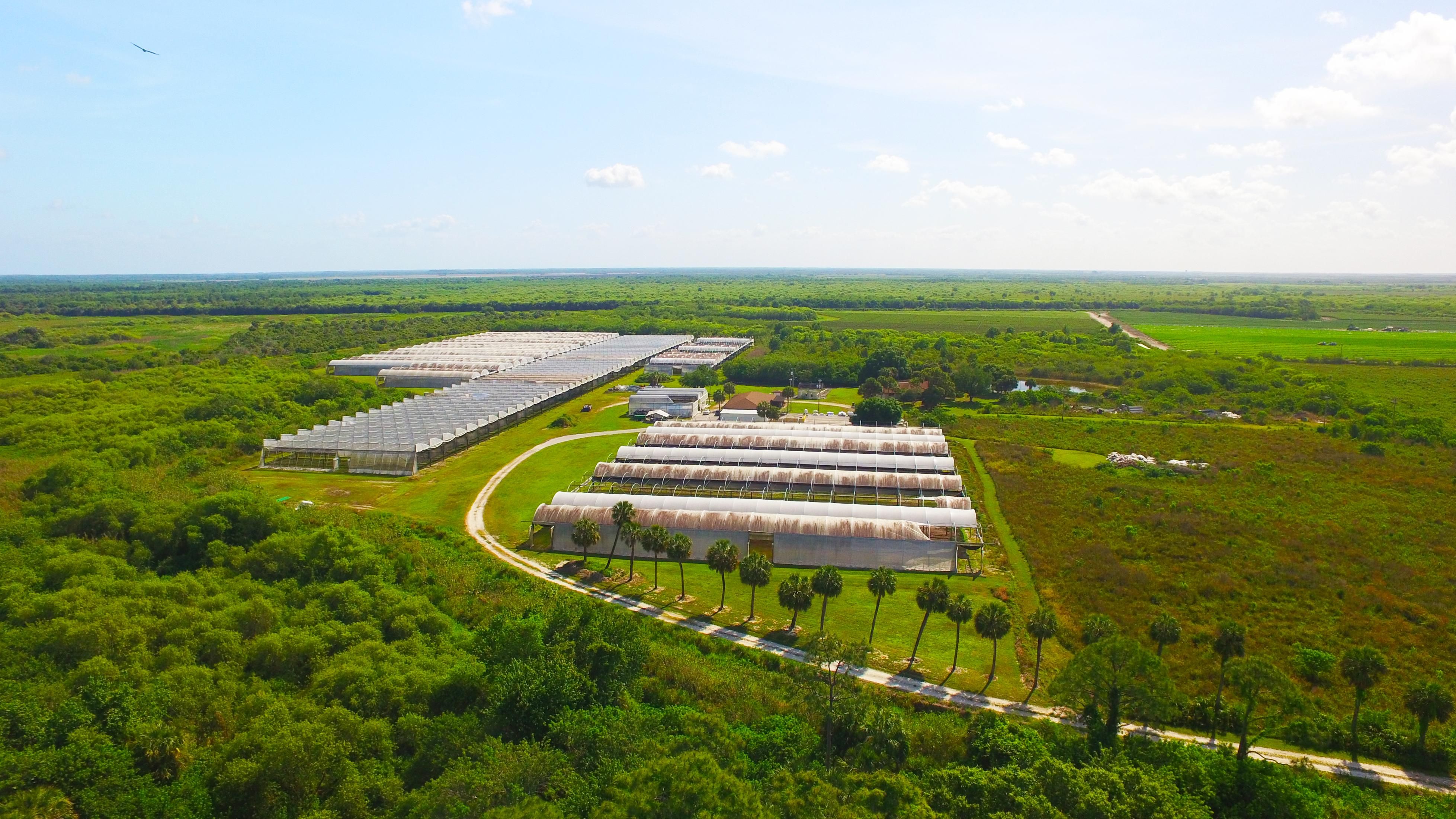 6150 Pringle Lane, Immokalee, FL 34142 Land and Farm