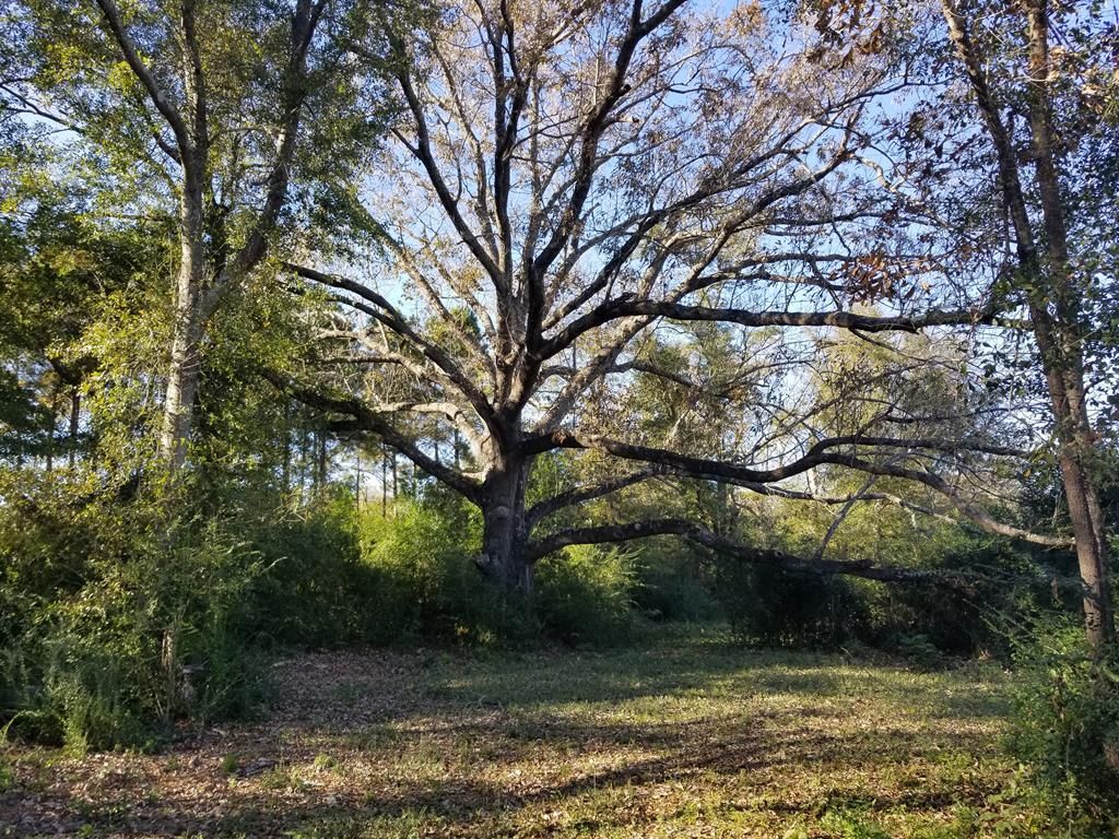 148 Acres, 8371 Old Stapleton Road, Avera, GA 30803 Land and Farm