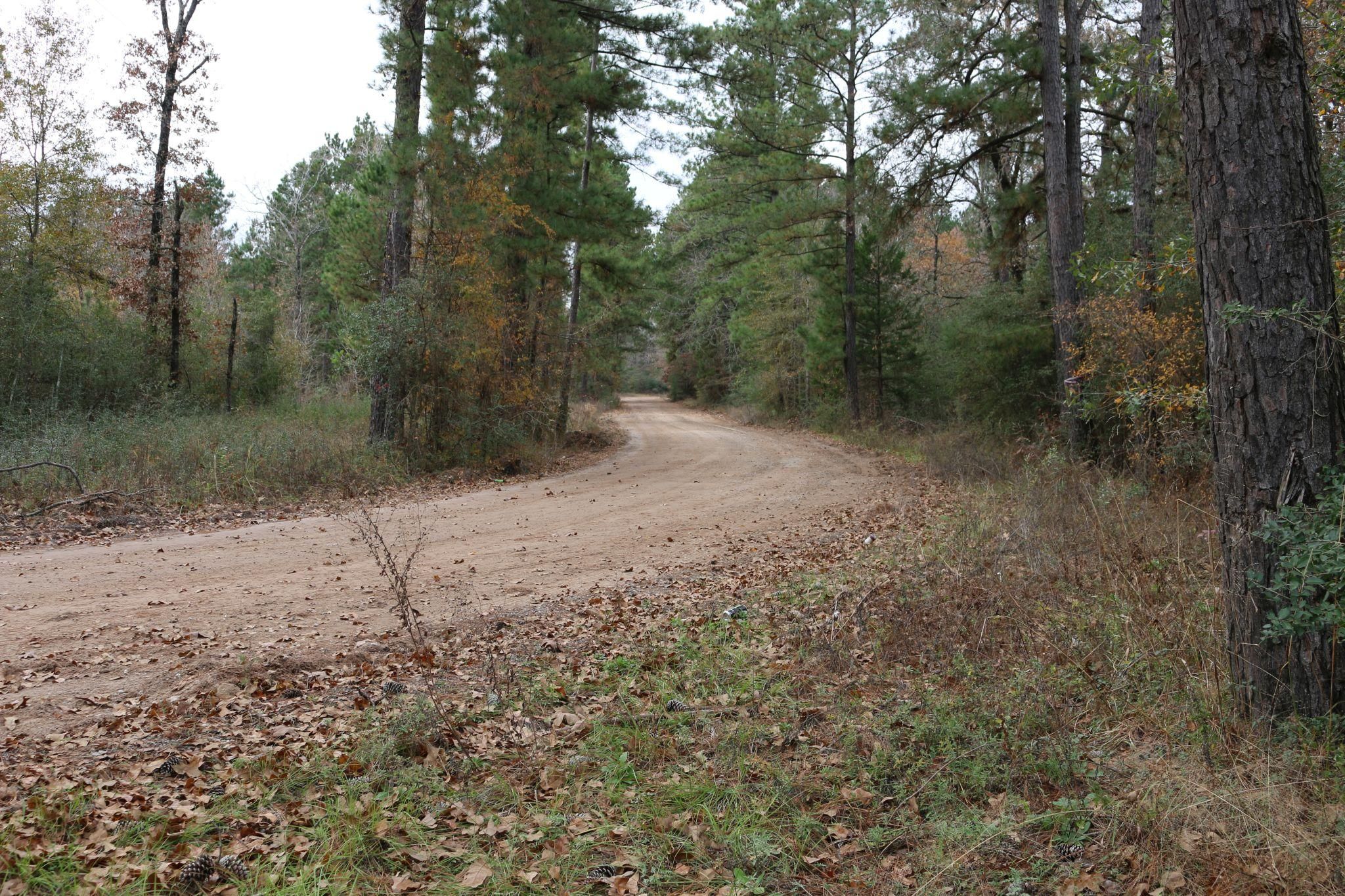 11.72 Acres, 9295 Rocky Ridge Lane, Madisonville, TX 77864 Land and Farm