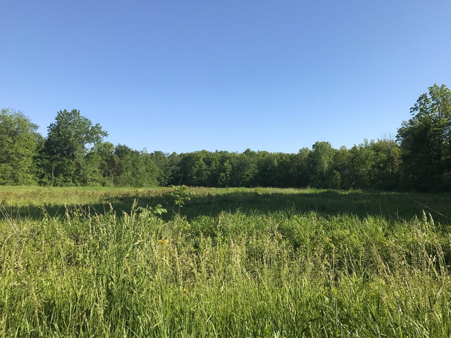 66.9 Acres, 640 E 1100 N, Westville, IN 46391 Land and Farm