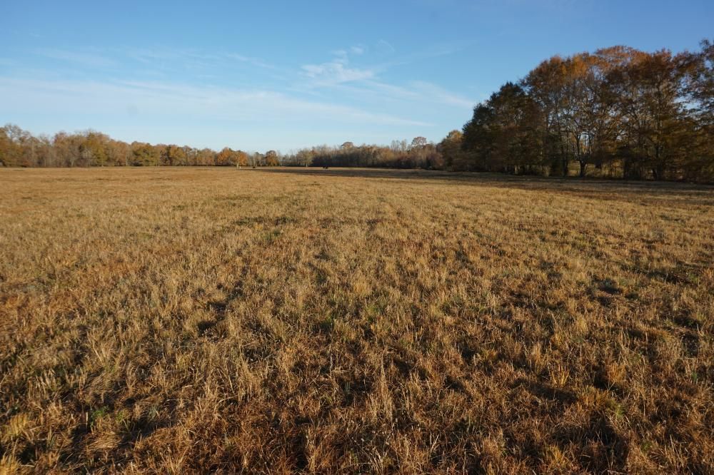 56 Acres, 0 Lower Hull Road, Moundville, AL 35474 Land and Farm