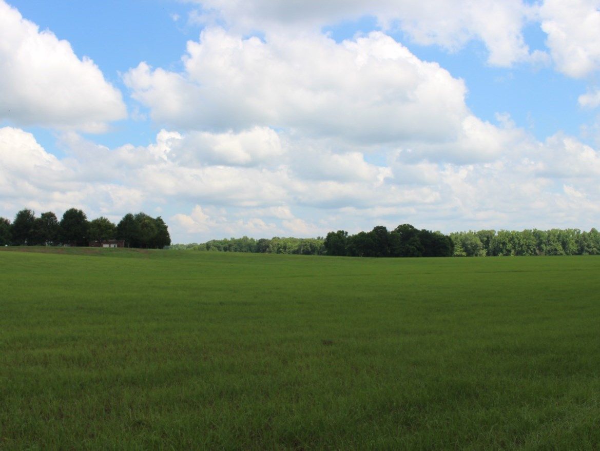 325 Acres, 0 HWY 547 HWY, Port Gibson, MS 39150 Land and Farm