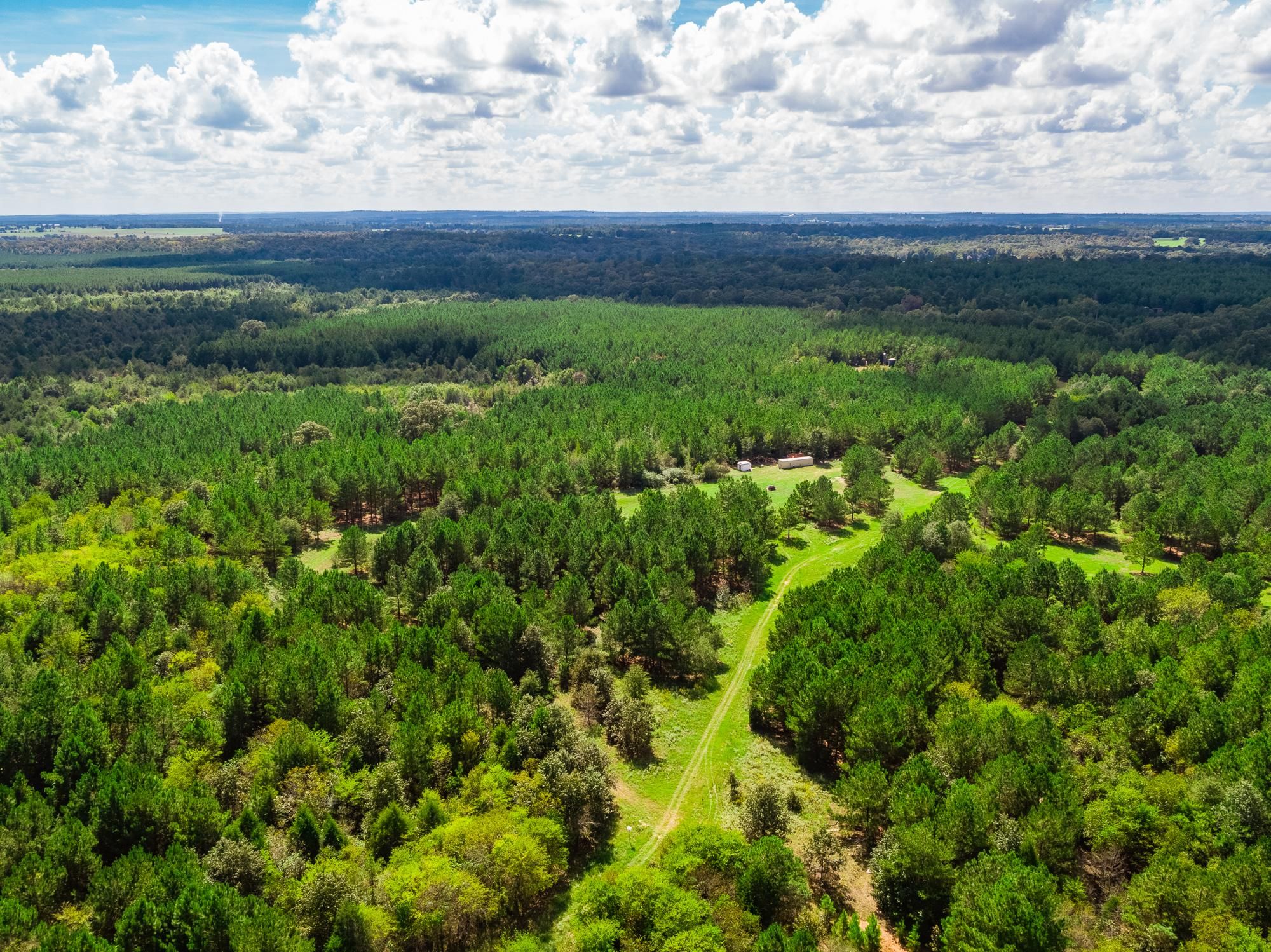600 acres in Troup, TX, 75789 Land and Farm