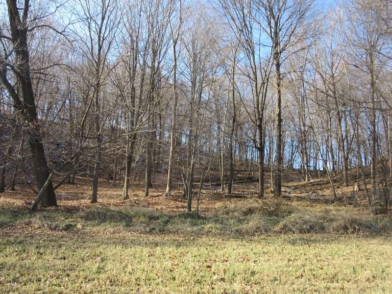 42 Acres, 42 Ac Cedar Rd, Sauk City, WI 53583 Land and Farm