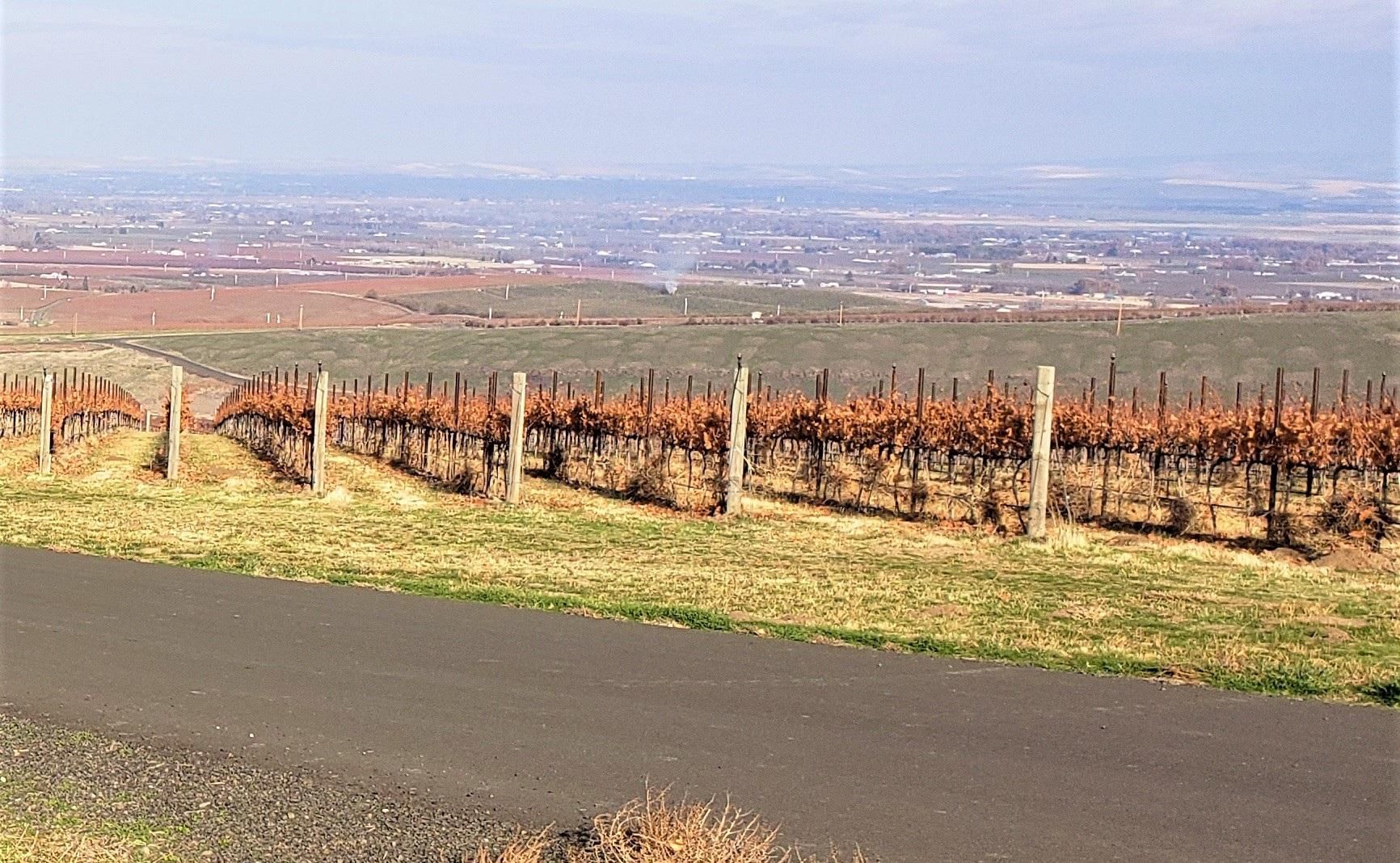 40.19 Acres, Milton Freewater, OR 97862 Land and Farm