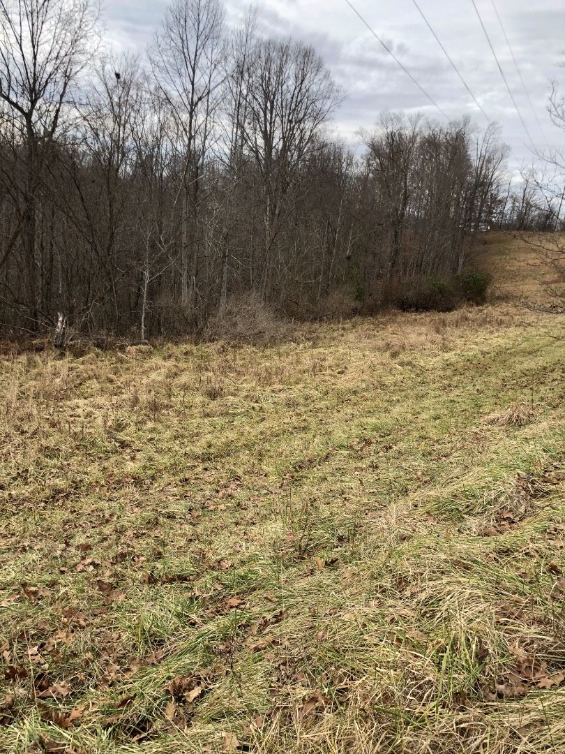 11 Acres, South Calhoun Hwy, Mount Zion, WV 26151 Land and Farm