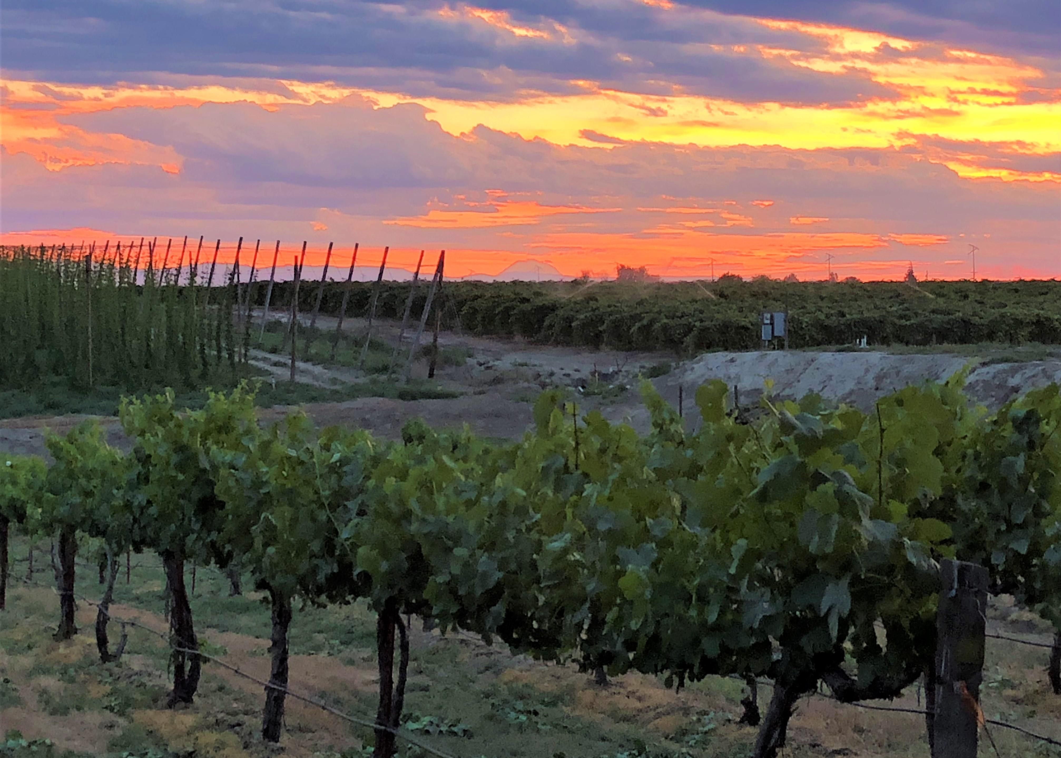 12.39 Acres, N Outlook Rd, Outlook, WA 98938 Land and Farm