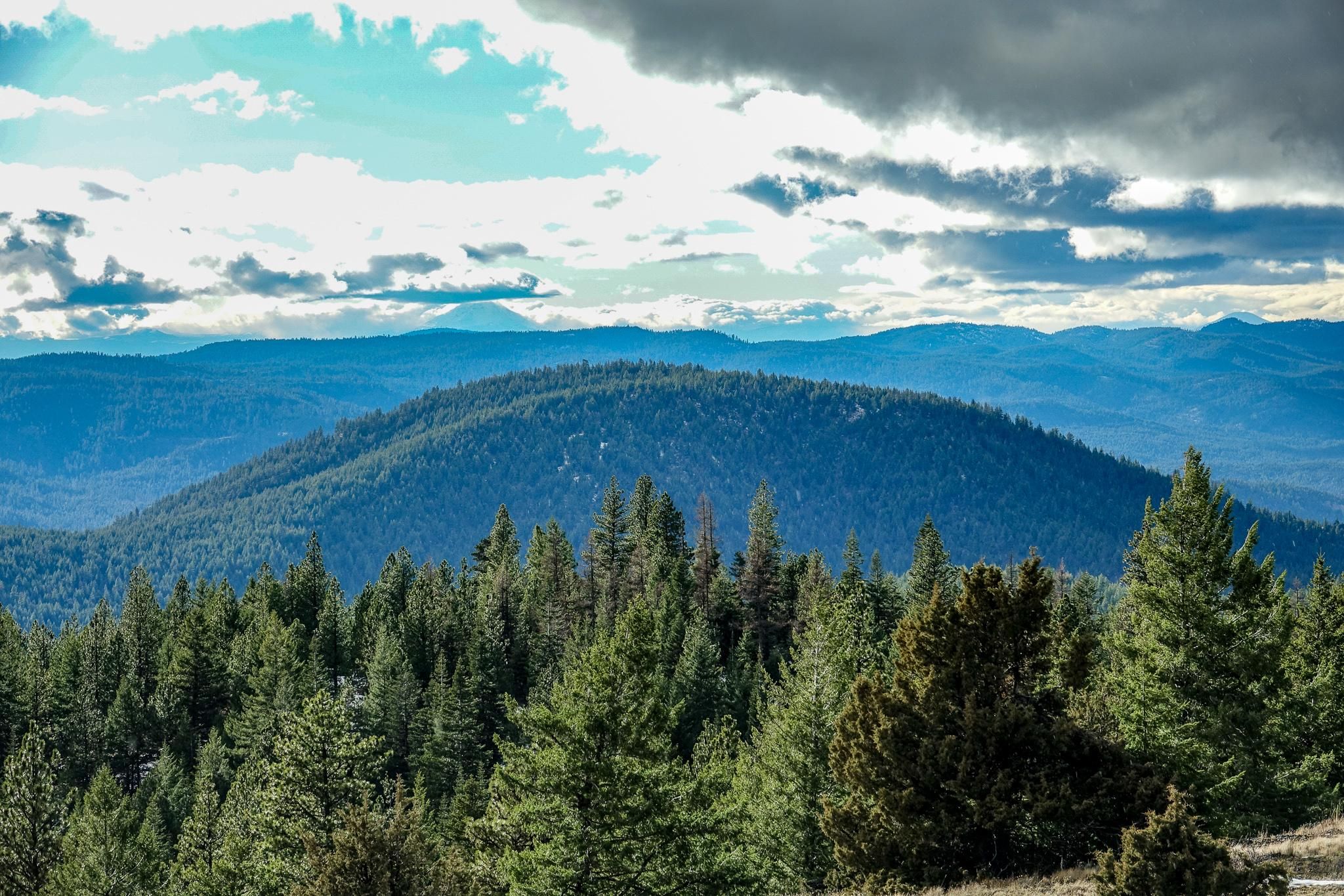 16,981 Acres, TBD FS 2527, Prineville, OR 97754 Land and Farm