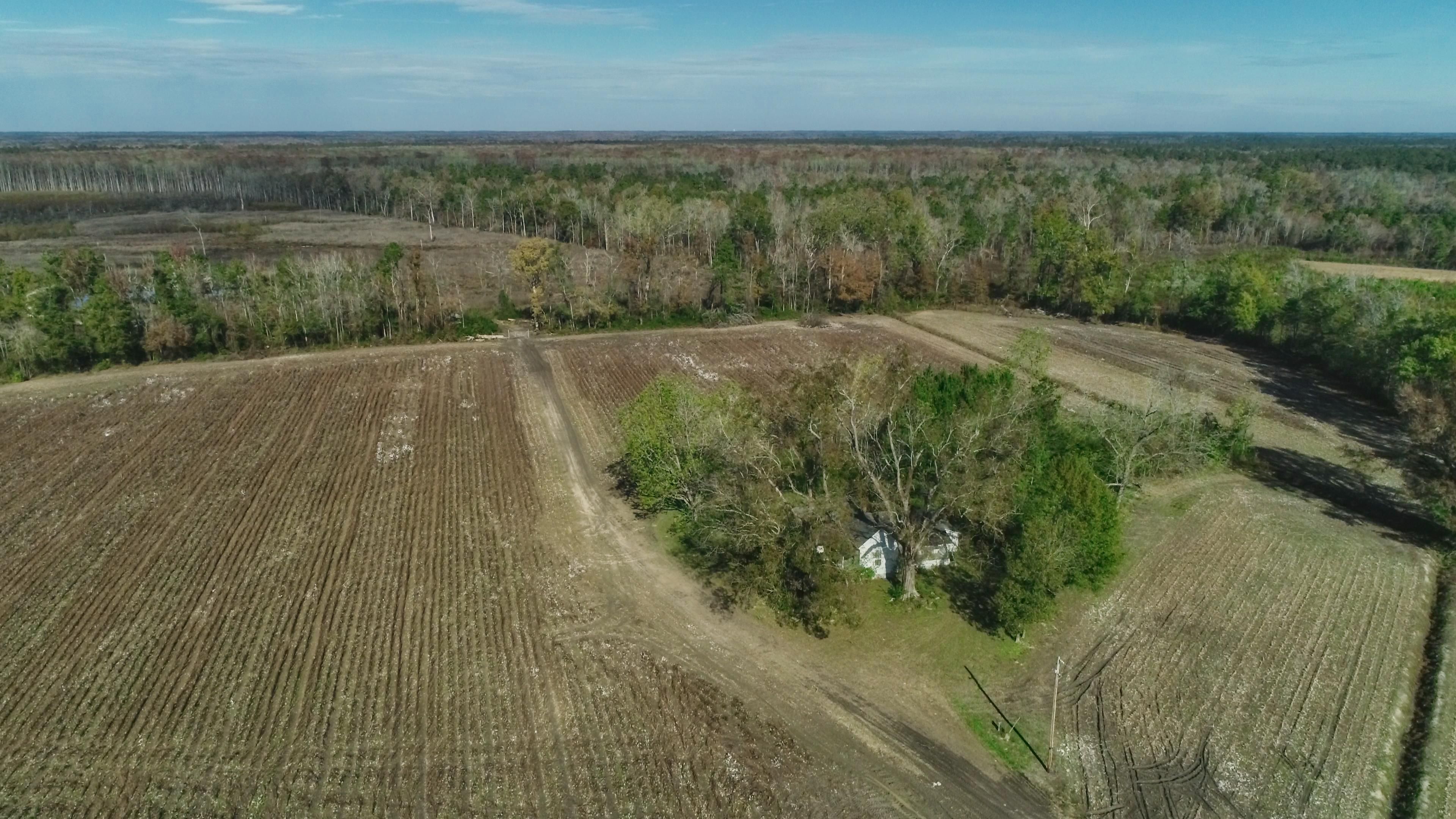 210.08 Acres, Galivants Ferry, SC 29544 Land and Farm