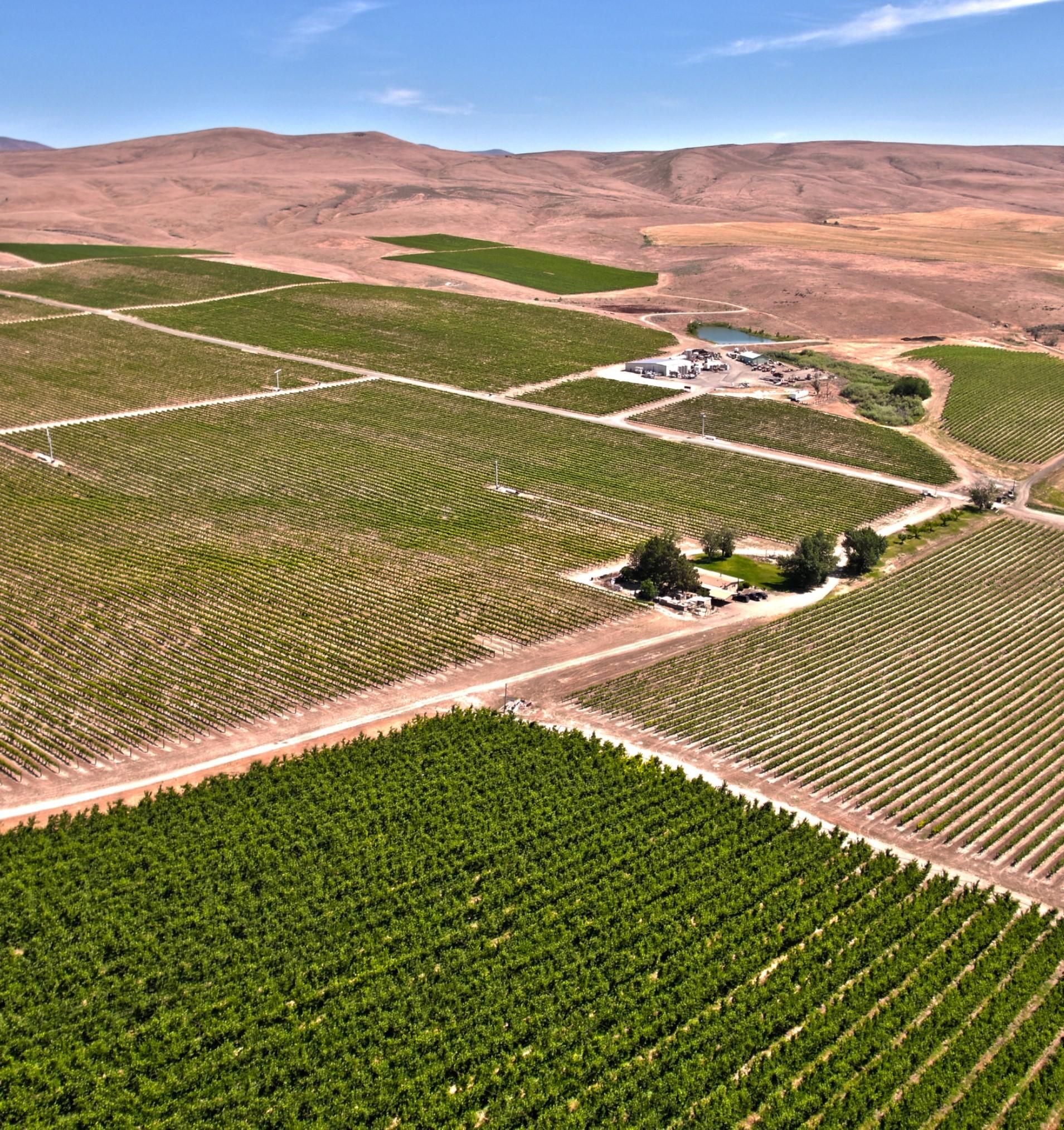 Vintage Rd, Zillah, WA 98953 Land and Farm