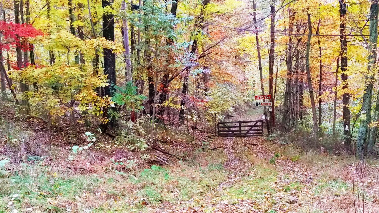 1190 Boulder Road, Volga, WV 26238 Land and Farm