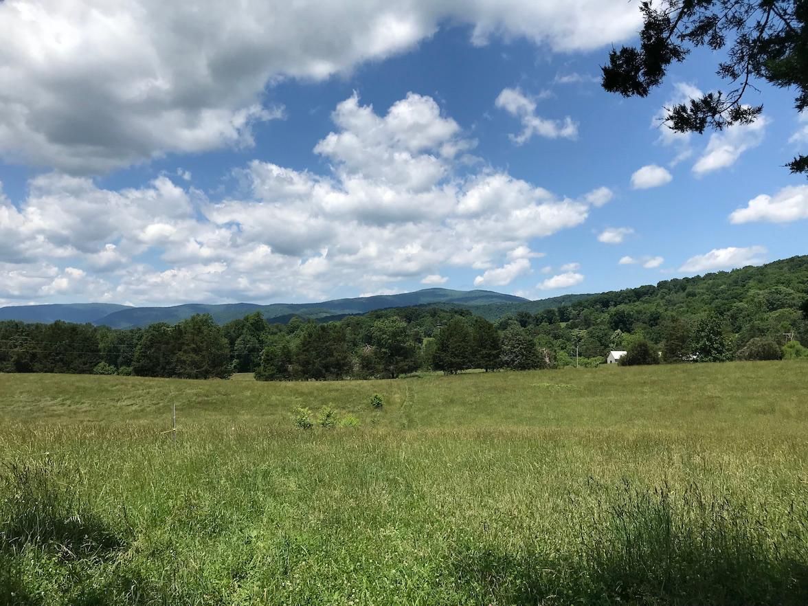 7279 Spotswood Trail, Stanardsville, VA 22973 MLS 584891 Land and Farm
