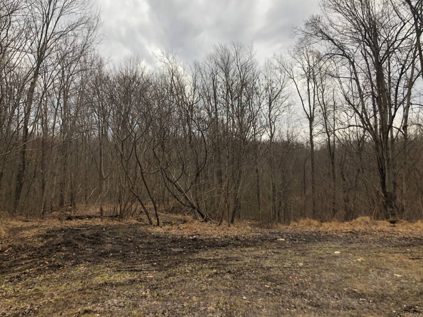 46 Acres, Gum Springs Road, WV 26508 Land and Farm