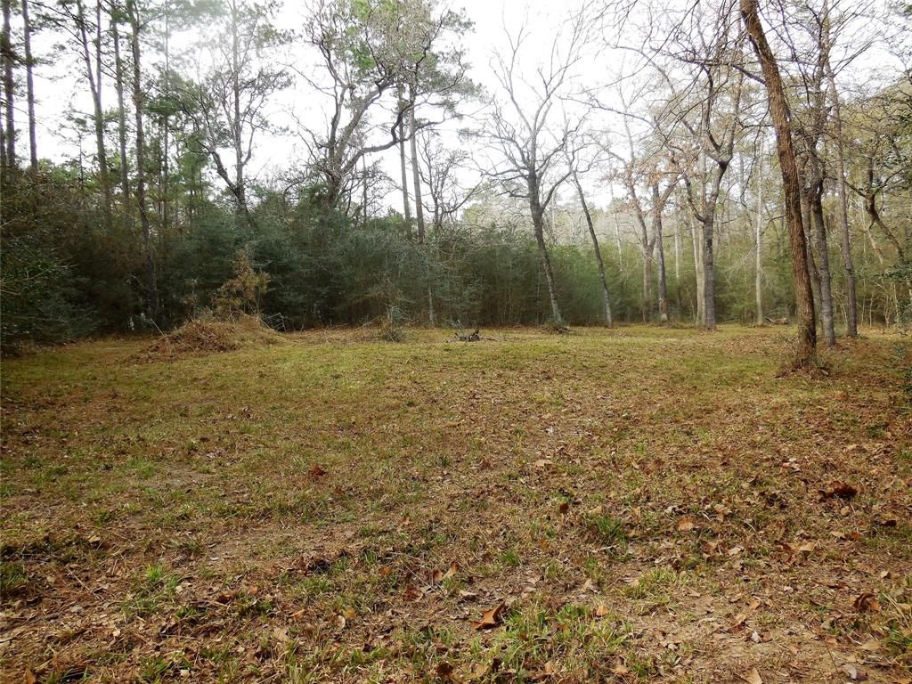 7.99 Acres, 21906 Badger Hollow Drive, Magnolia, TX 77355 Land and Farm
