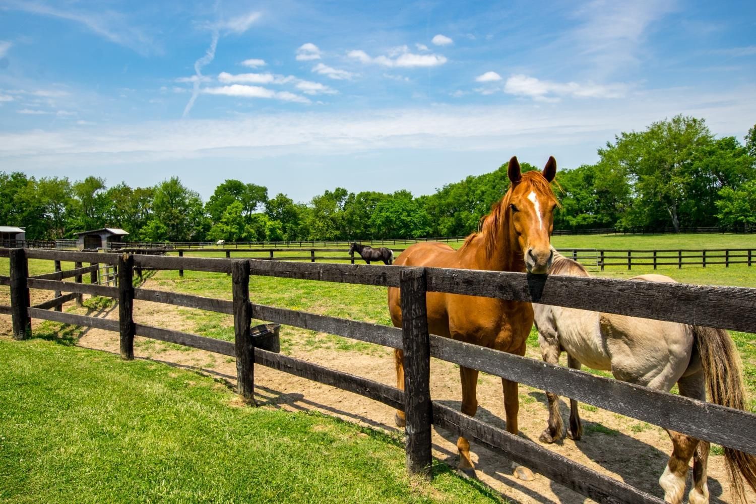 37.6 Acres, 1710 South Berrys Chapel Road, Franklin, TN 37069 Land