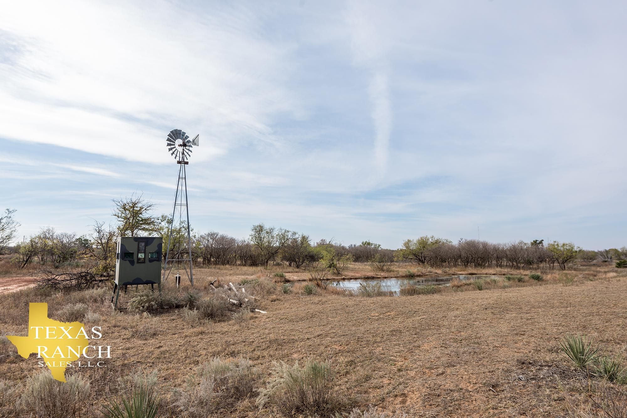 452 acres in Old Glory, TX, 79540 Land and Farm