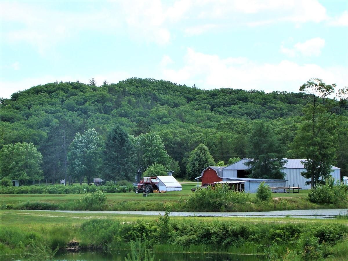 19080 Arcadia Drive, Warrens, WI 54666 MLS 1527247 Land and Farm