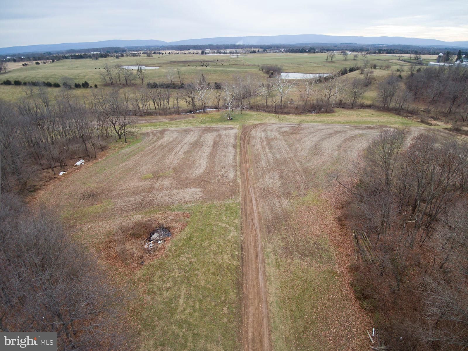 203.79 Acres, RITTER ROAD, Winchester, VA 22602 Land and Farm