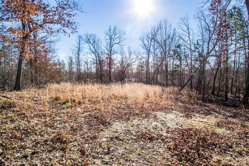 60 Acres, Doniphan, MO 63935 Land and Farm
