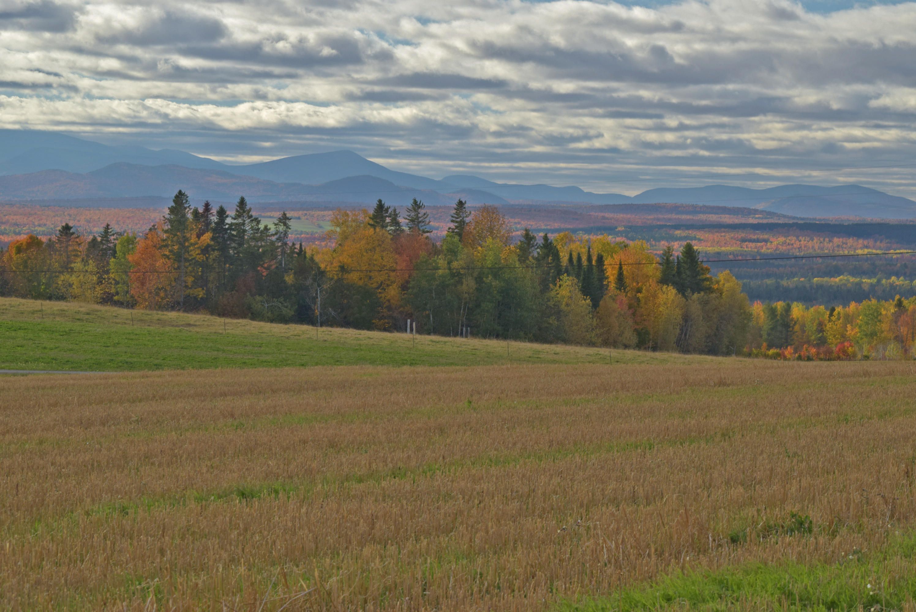 70 Acres, 887 Golden Ridge Road, Sherman, ME 04776 Land and Farm