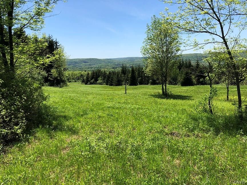 71.9 Acres, 195 Johnson Road, Kirkwood, NY 13795 Land and Farm