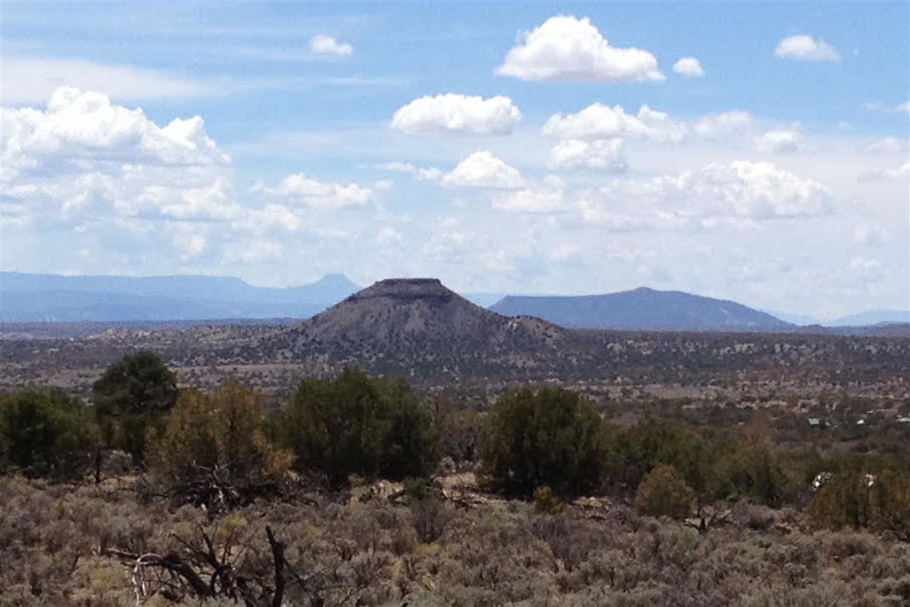 40 Acres, Parcel A US Hwy 285, Ojo Caliente, NM 87548 Land and Farm